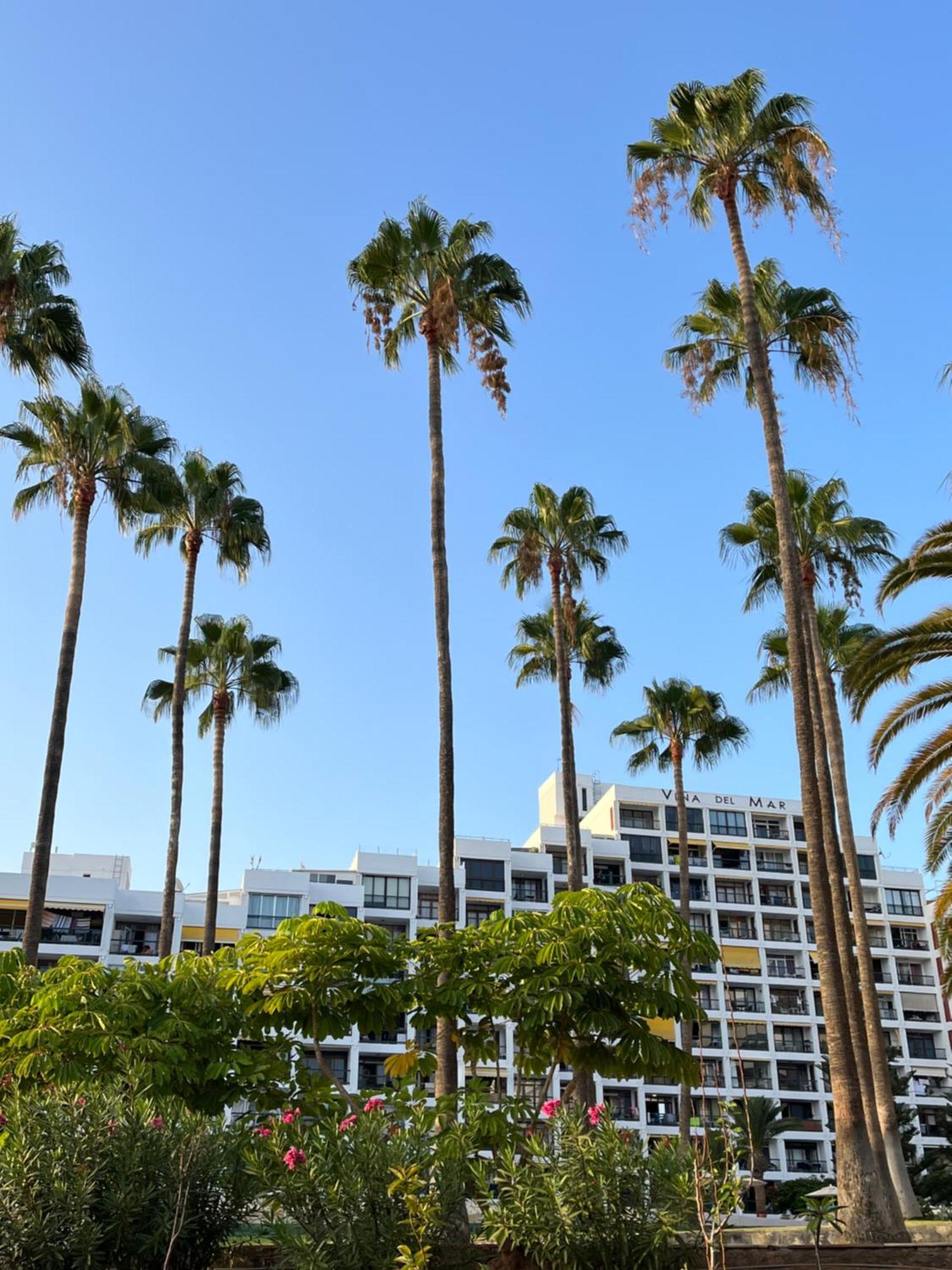 Vina Del Mar Apartamento Playa Feñabe Exterior foto